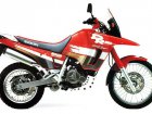 Suzuki DR 800S Big